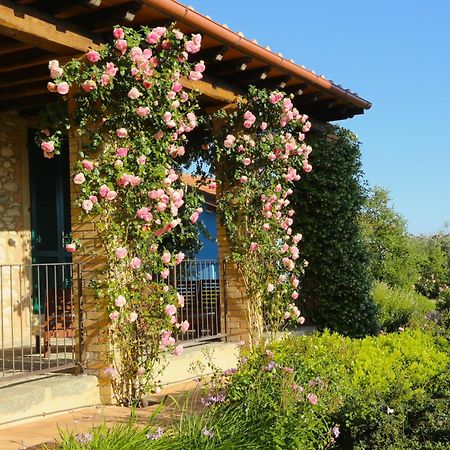 Casa Maria Agriturismo Magliano in Toscana Exterior foto