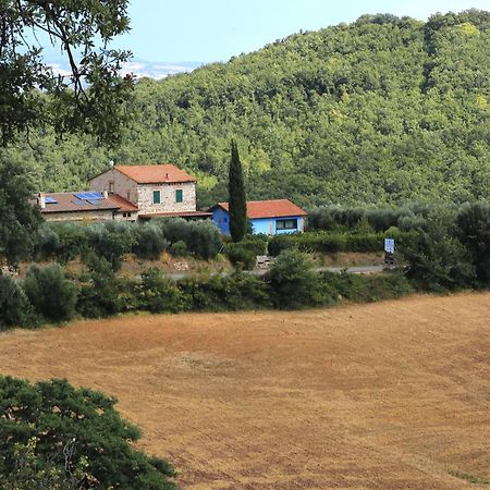 Casa Maria Agriturismo Magliano in Toscana Exterior foto