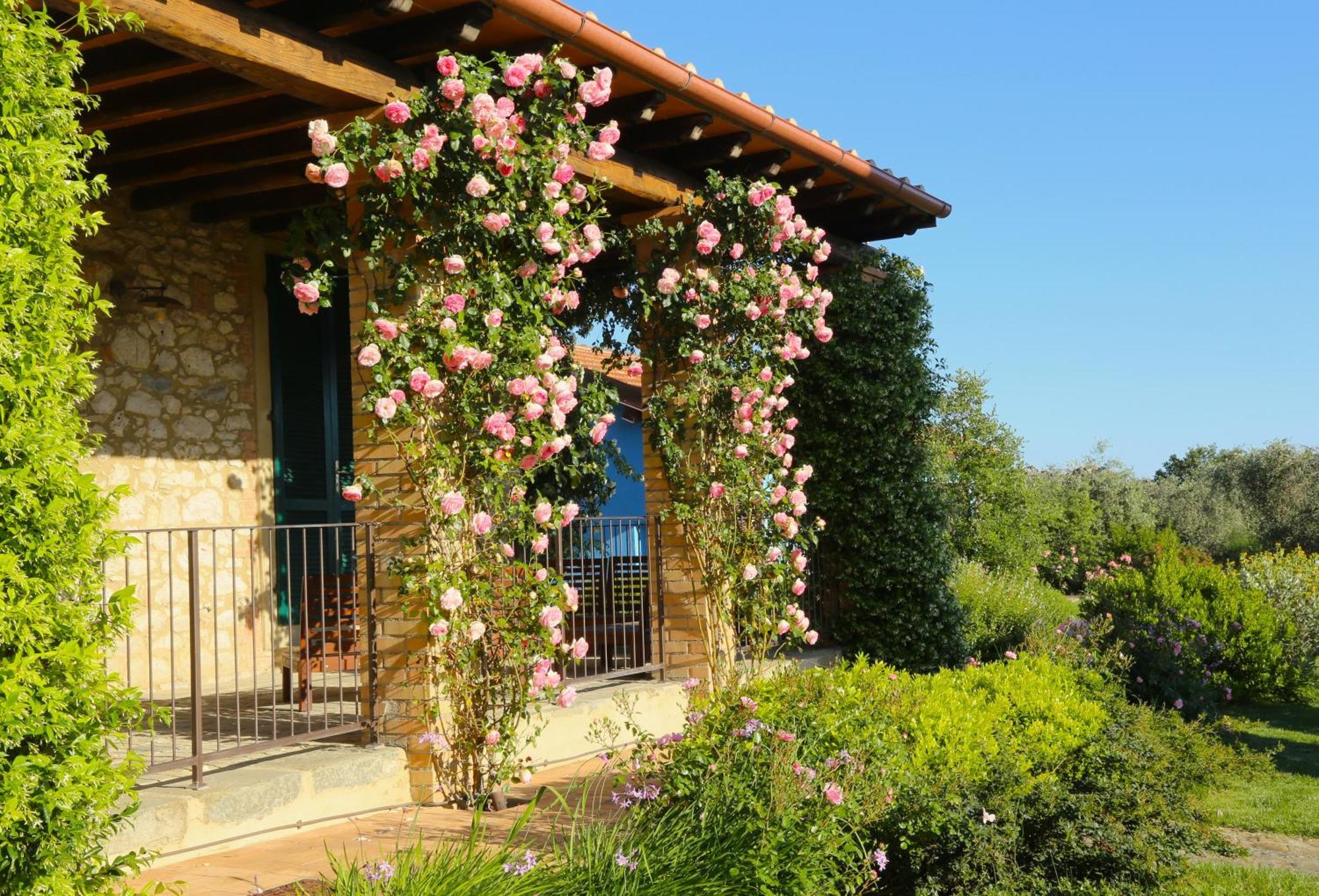 Casa Maria Agriturismo Magliano in Toscana Exterior foto