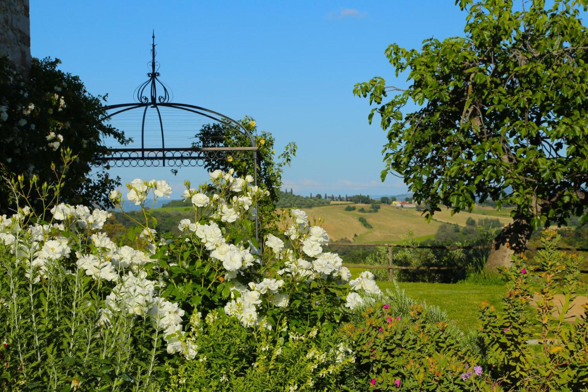 Casa Maria Agriturismo Magliano in Toscana Exterior foto