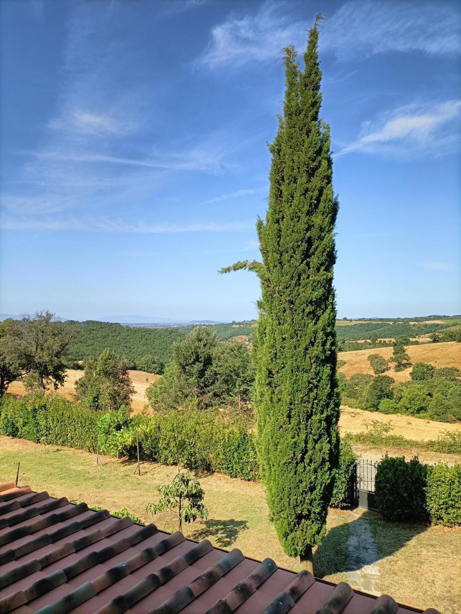 Casa Maria Agriturismo Magliano in Toscana Exterior foto