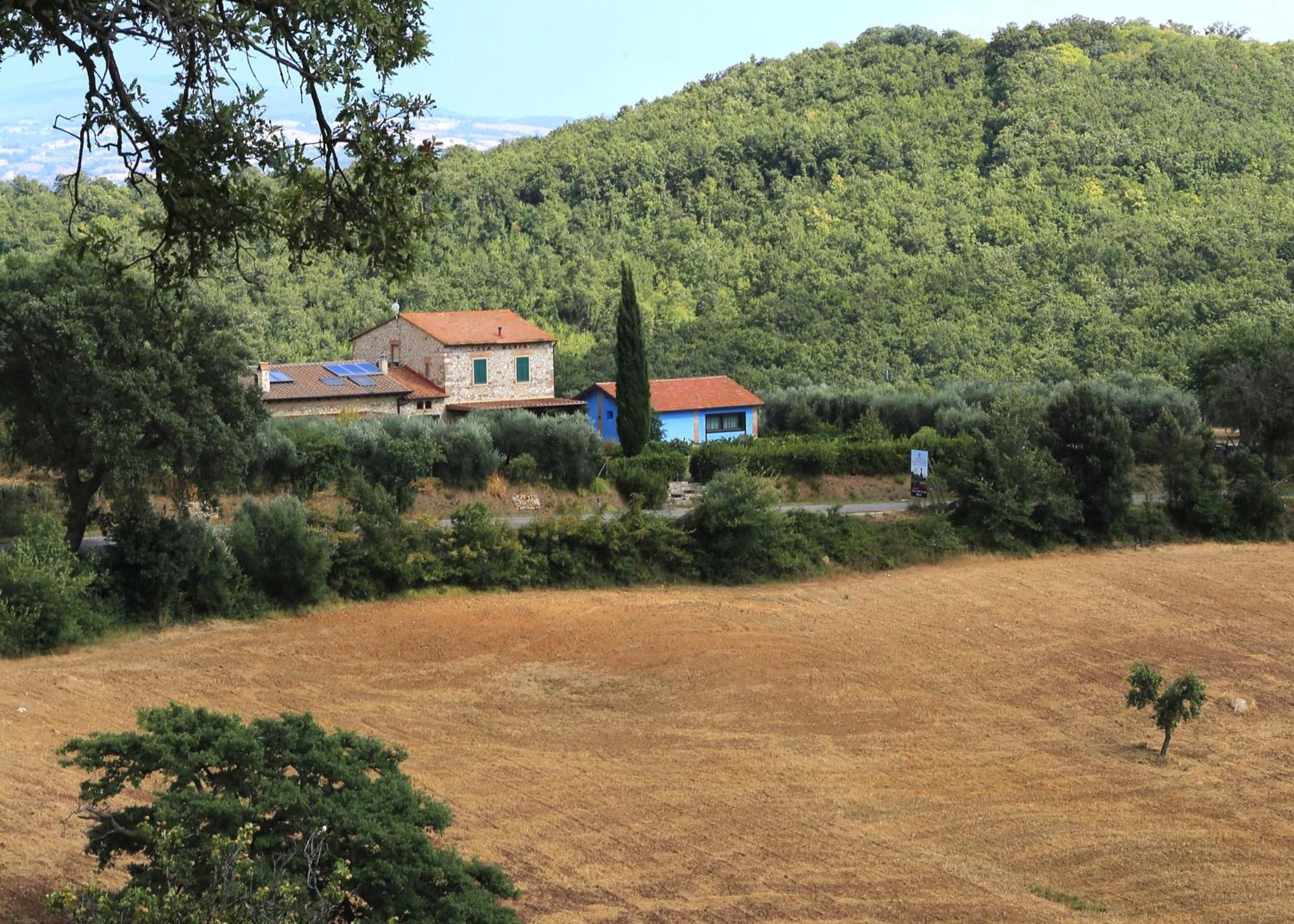 Casa Maria Agriturismo Magliano in Toscana Exterior foto