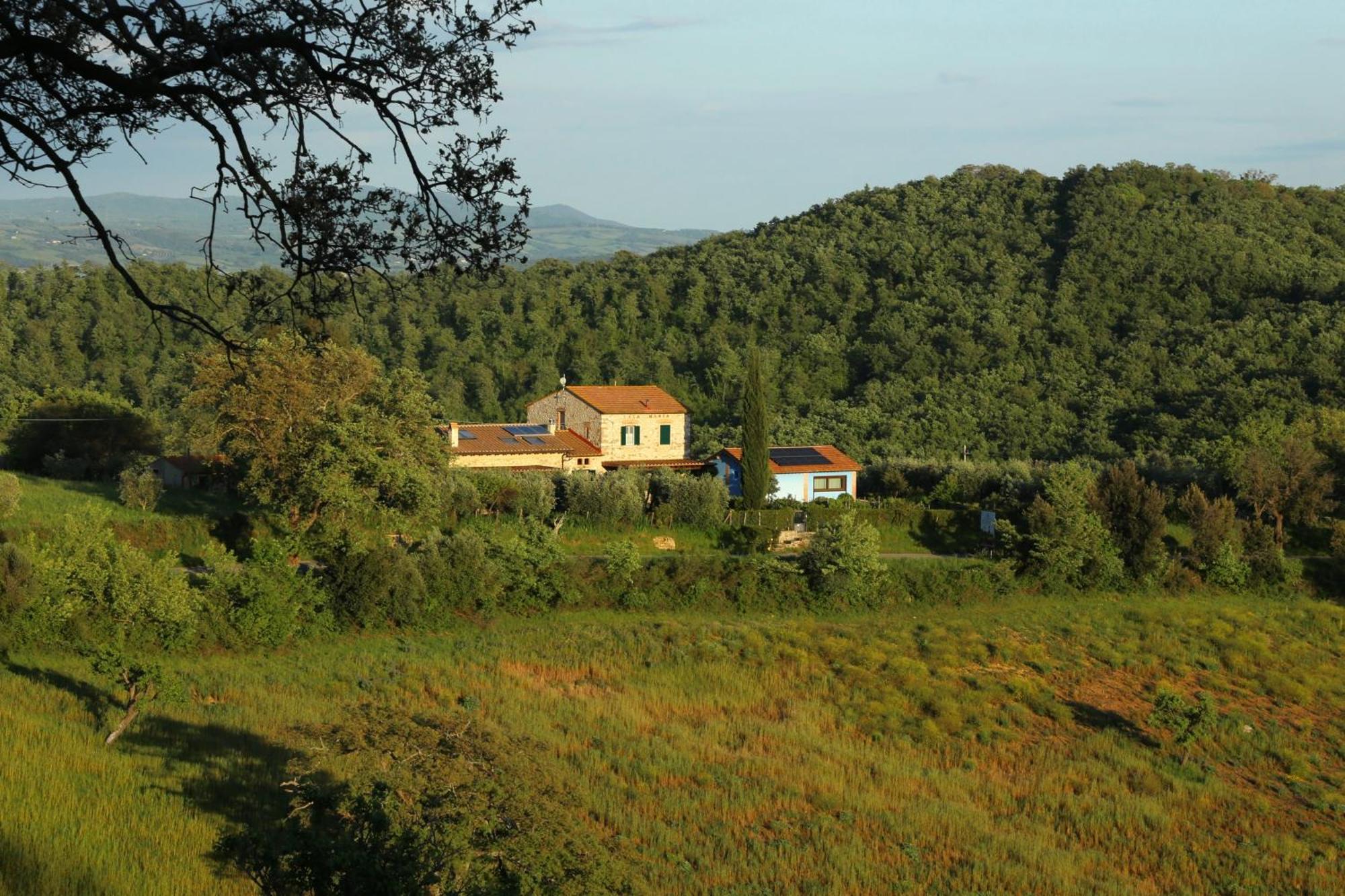Casa Maria Agriturismo Magliano in Toscana Exterior foto